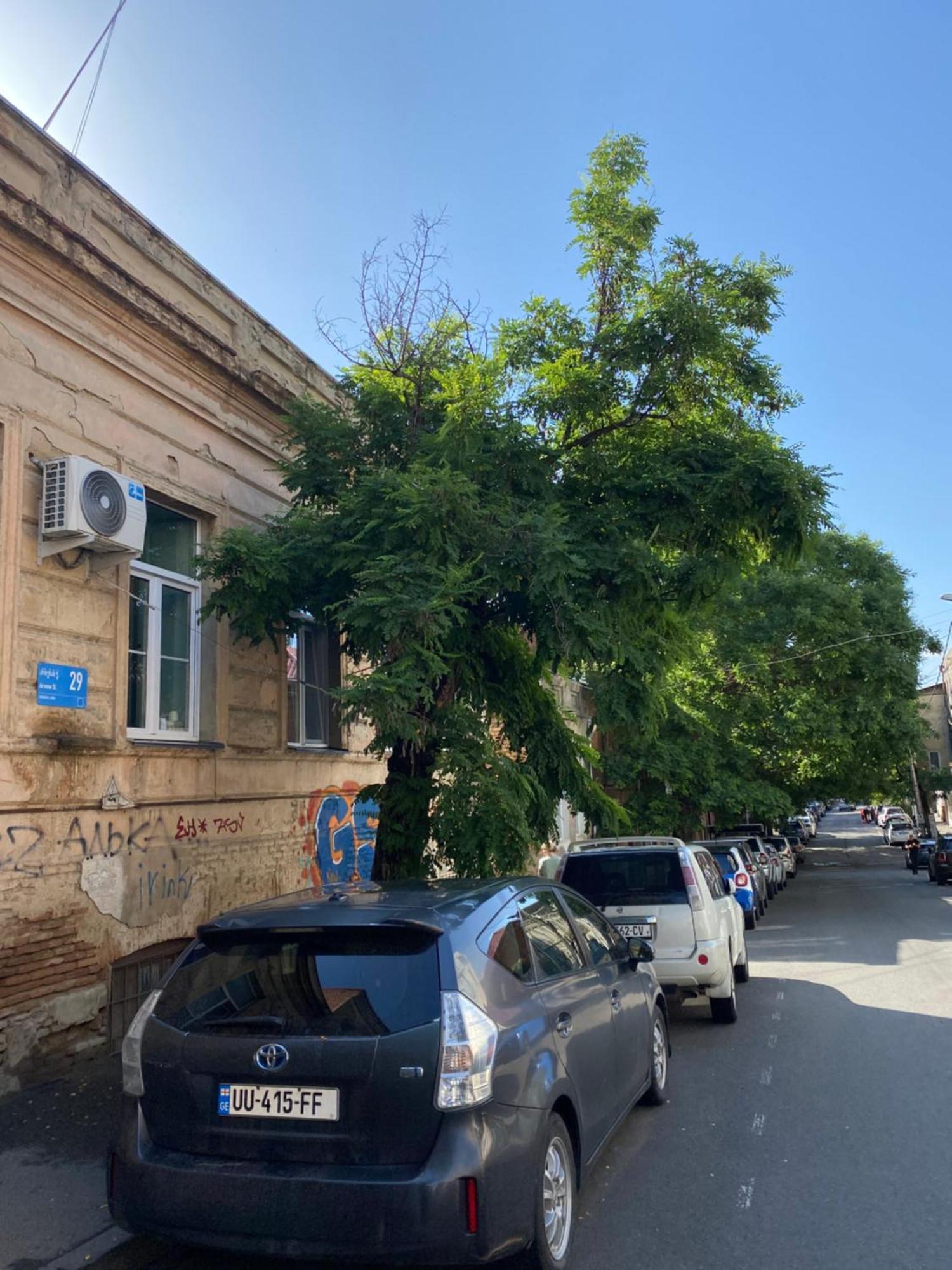 Old Tbilisi City Center, Two - Room Apartment エクステリア 写真
